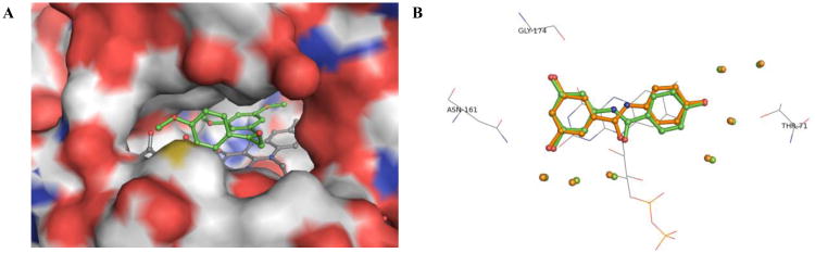 Figure 6