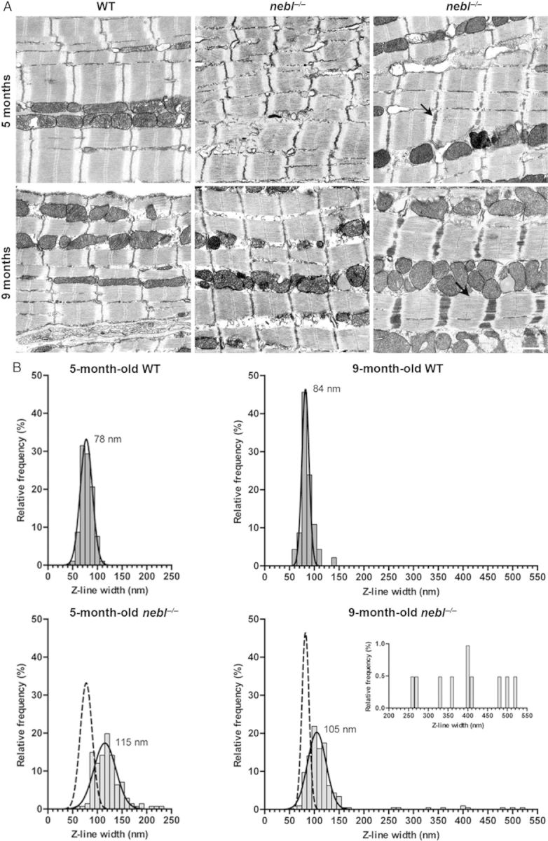 Figure 4