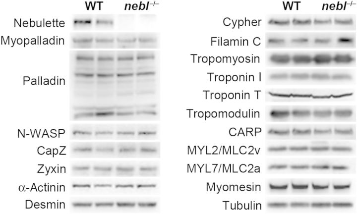 Figure 3