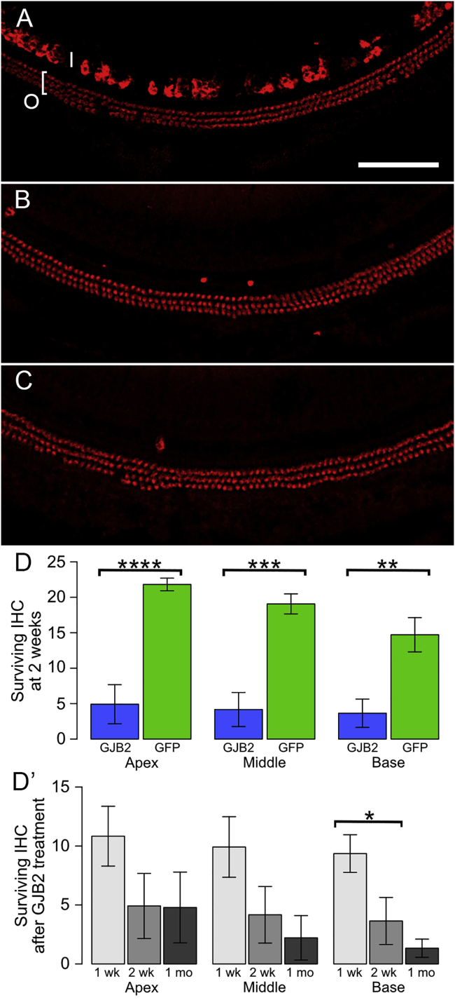 Figure 6