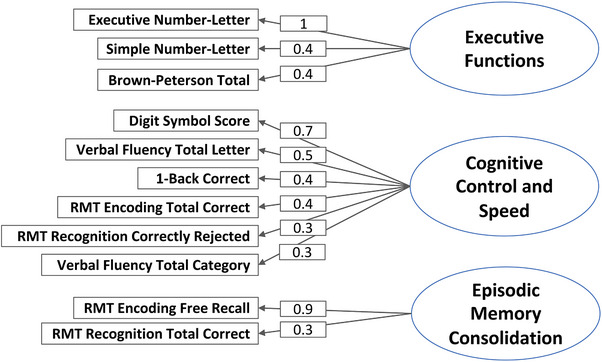 FIGURE 1