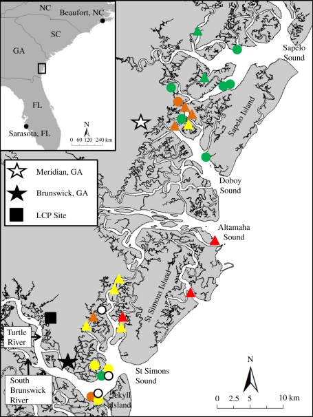 Figure 1.