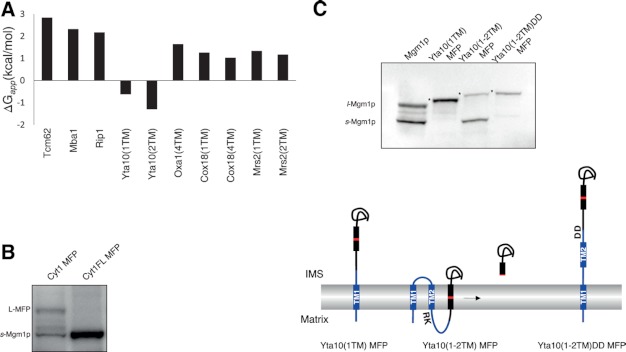 FIGURE 4.