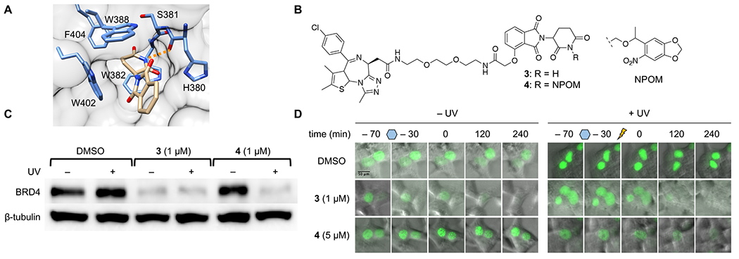 Figure 3.