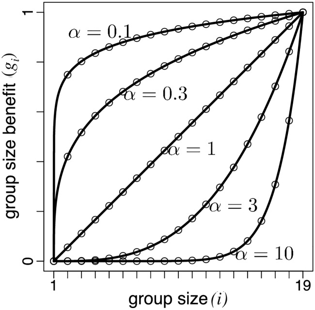 Fig 5