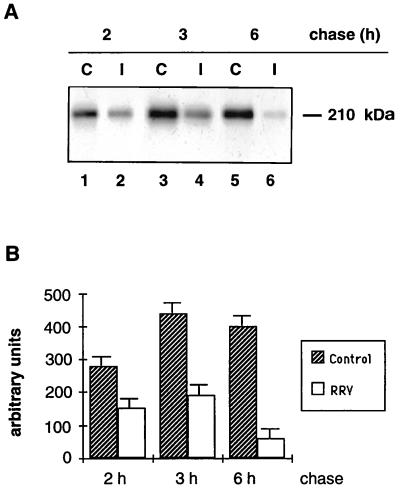 FIG. 5