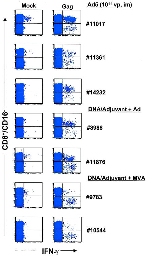 FIG. 3.