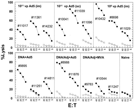 FIG. 2.