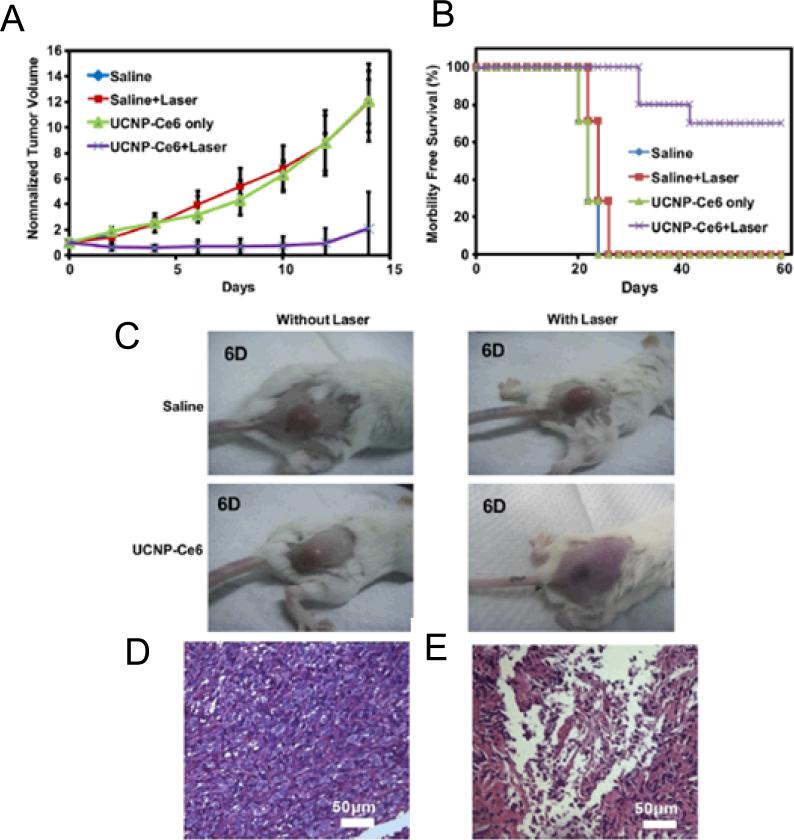 Fig. (12)