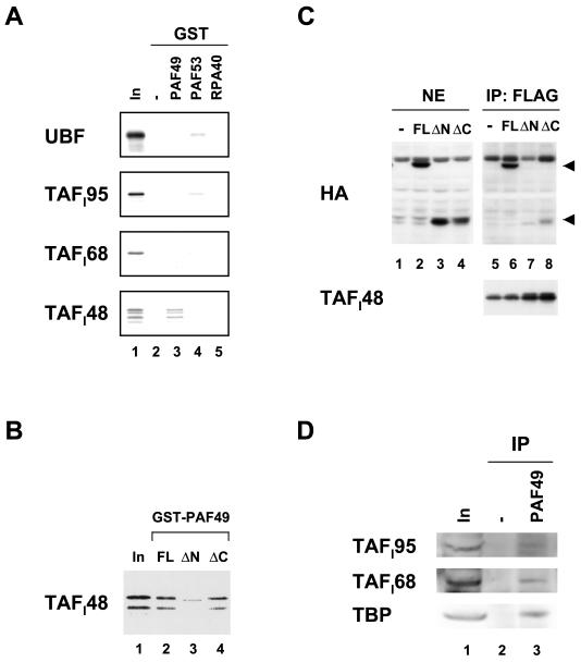 FIG. 6.