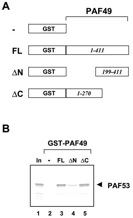 FIG. 5.