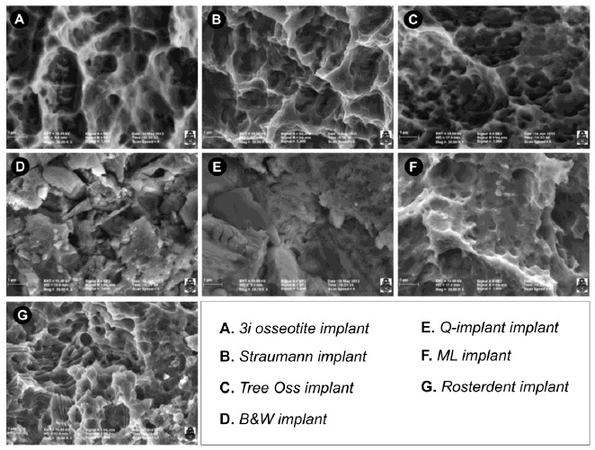 Fig. (1)