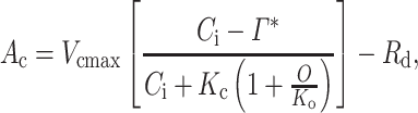 graphic file with name DmEquation1.gif