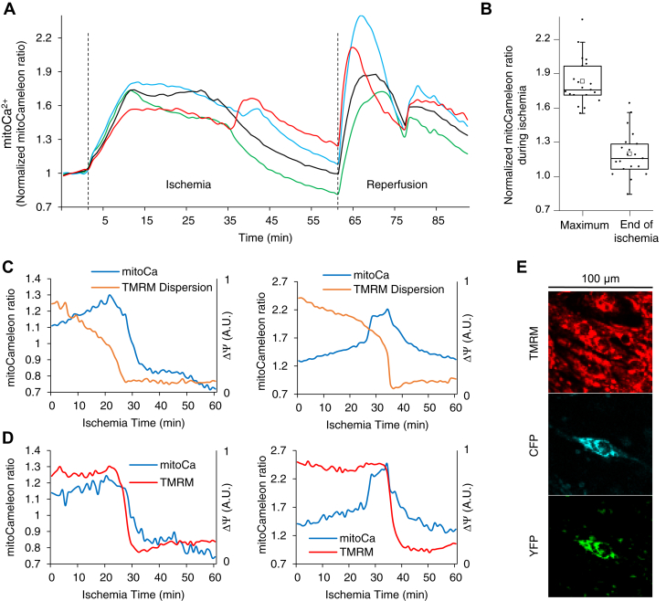 Figure 2