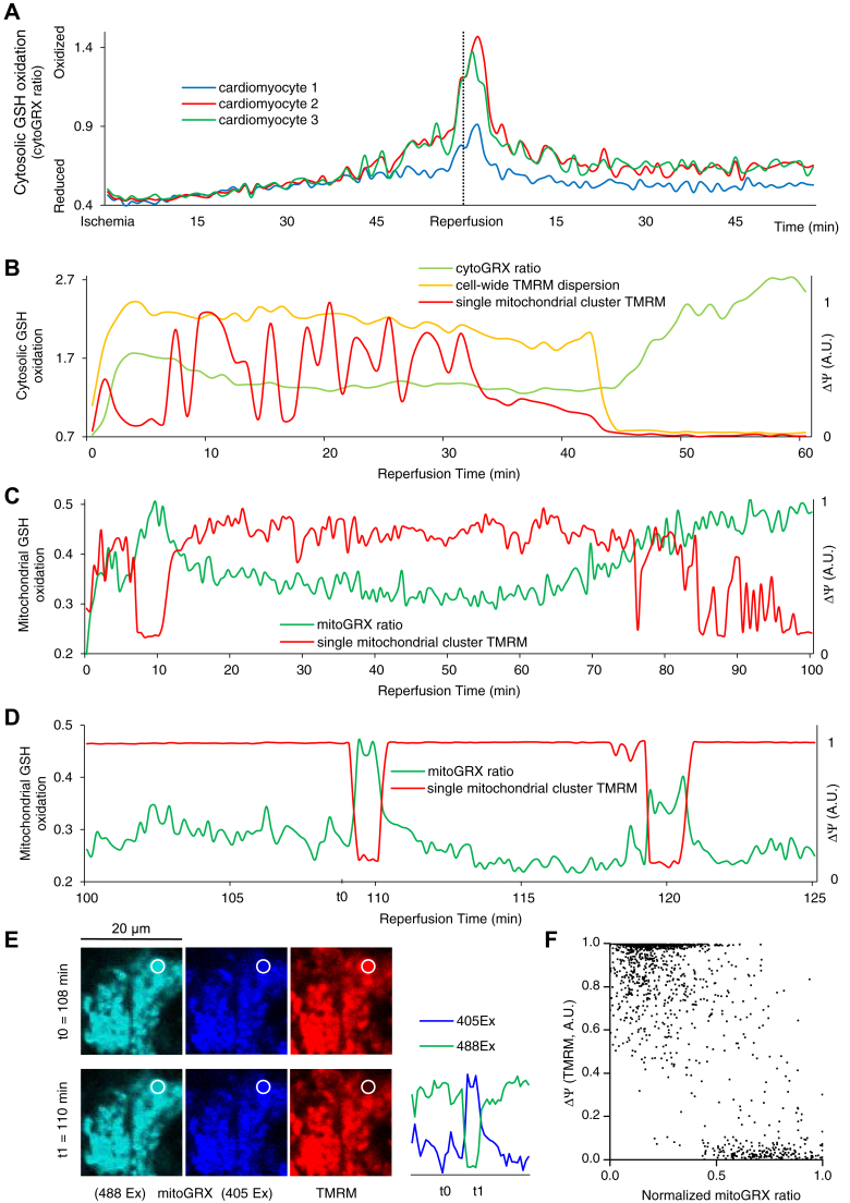 Figure 3