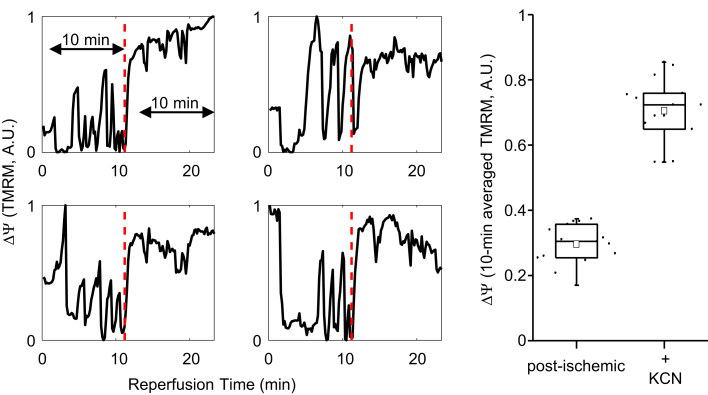 Figure 5