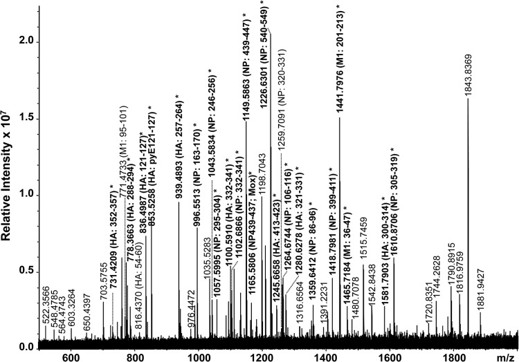 FIG 6