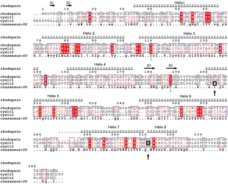 FIGURE 2