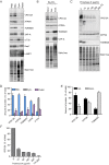 Figure 3—figure supplement 1.