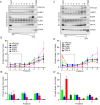 Figure 7—figure supplement 2.