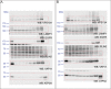 Figure 7—figure supplement 3.