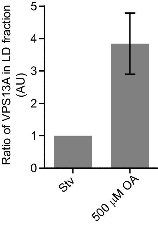 Figure 7—figure supplement 4.