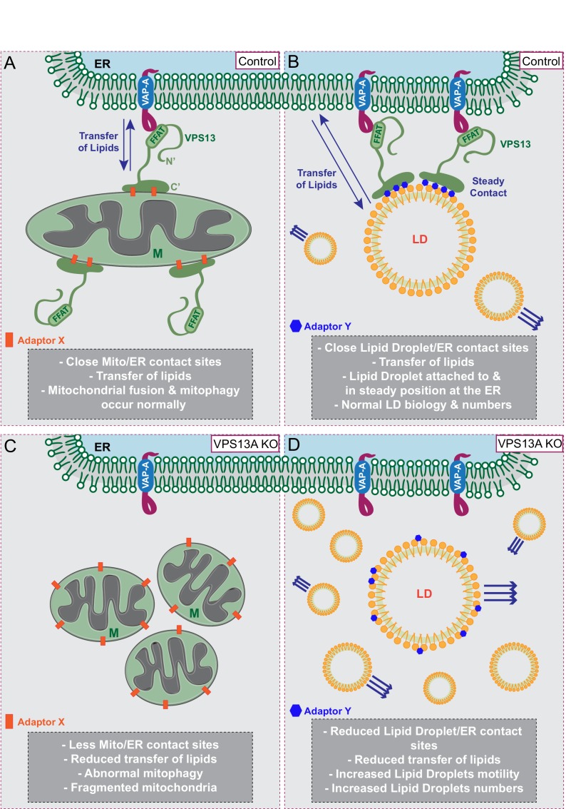 Figure 10.