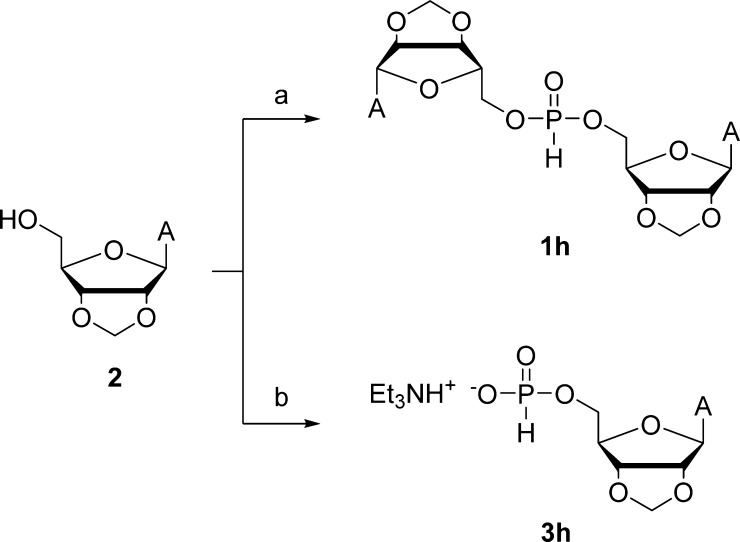 Scheme 2