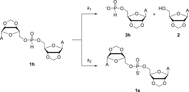 Scheme 3