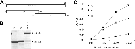 FIG. 1.