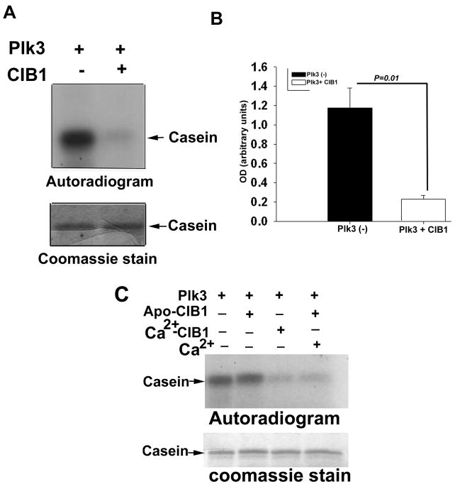 Fig 5