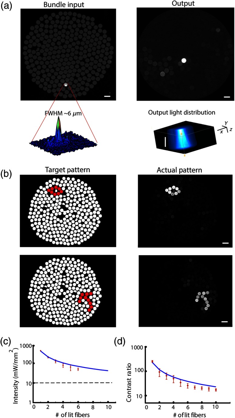 Fig. 2