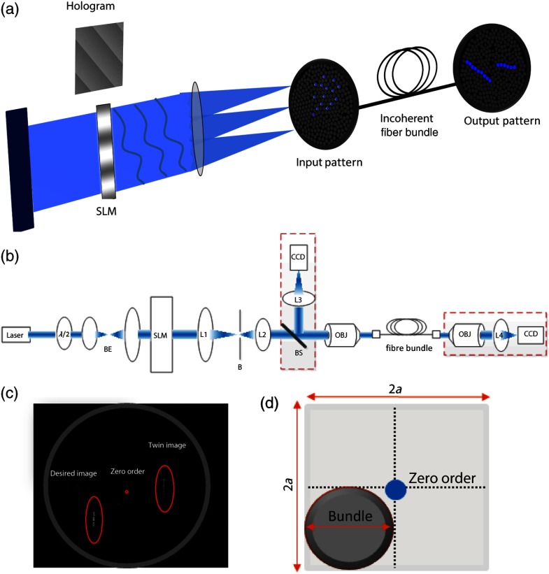 Fig. 1