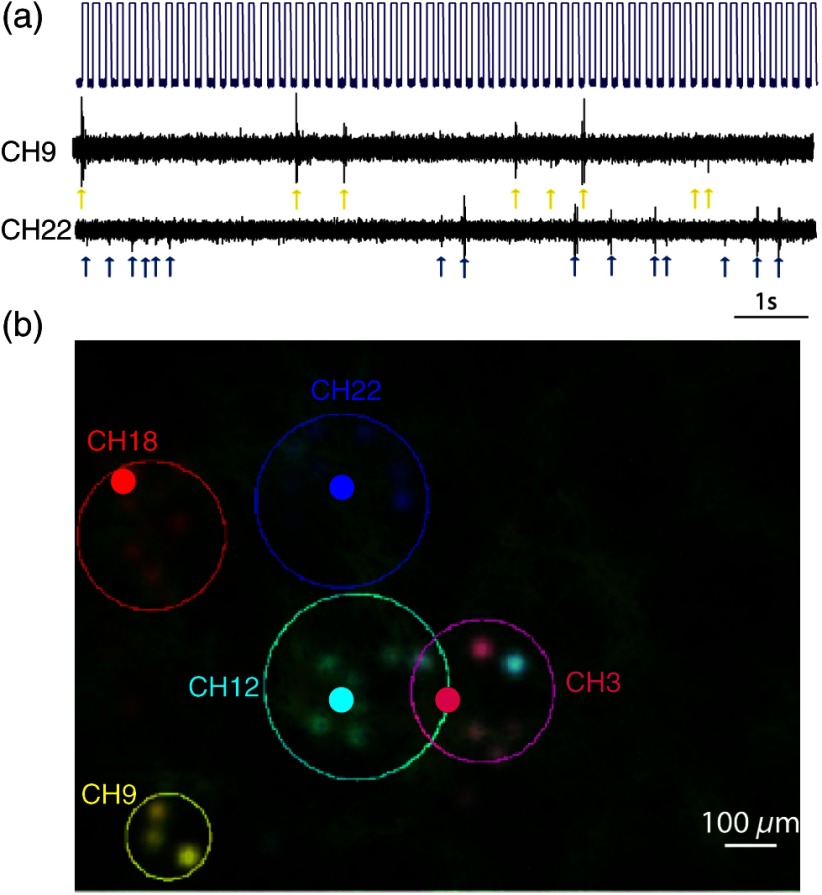 Fig. 4