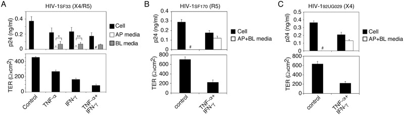 Fig 6