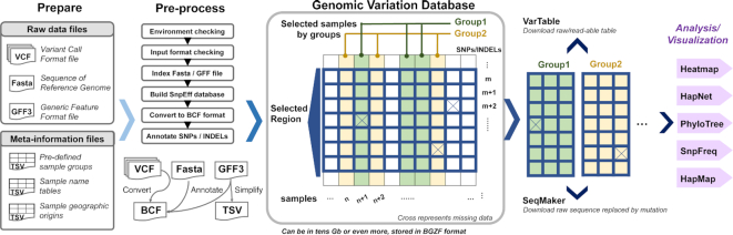 Figure 1: