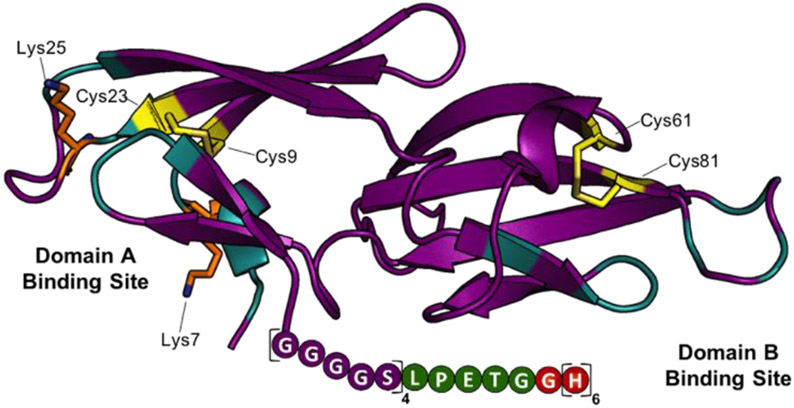 Figure 2.