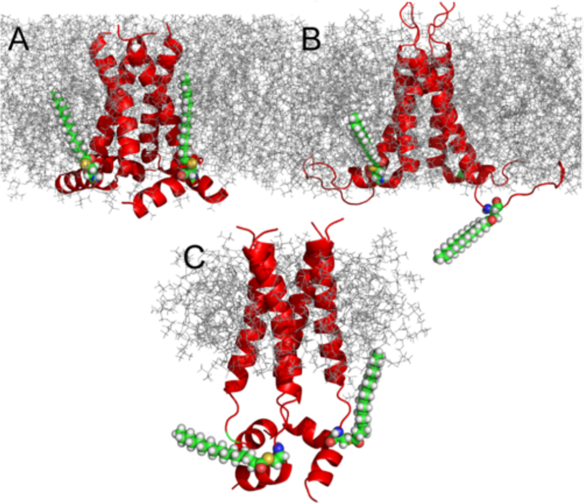 Figure 5.