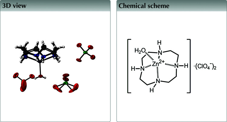 graphic file with name x-06-x210397-scheme1-3D1.jpg