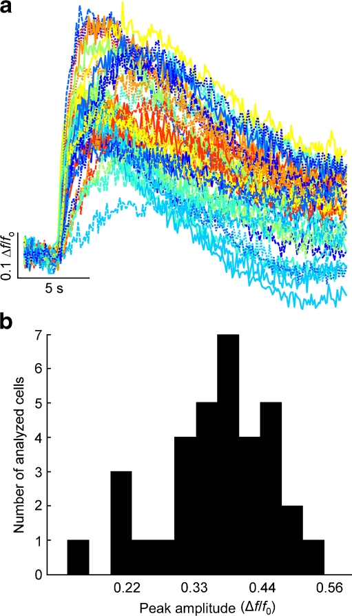 Fig. 10