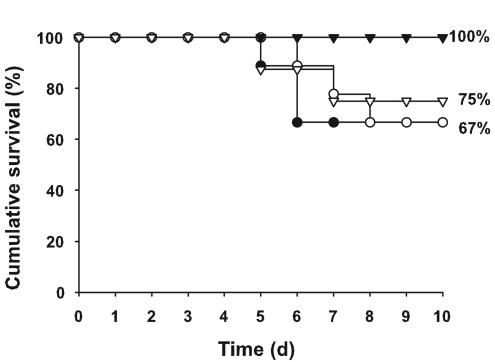 FIG. 5.