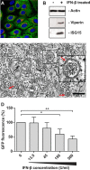 FIG 1