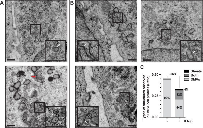 FIG 4 