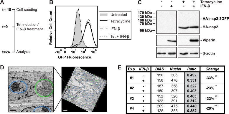 FIG 3 