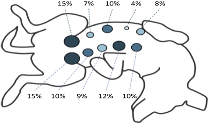 Fig. 3