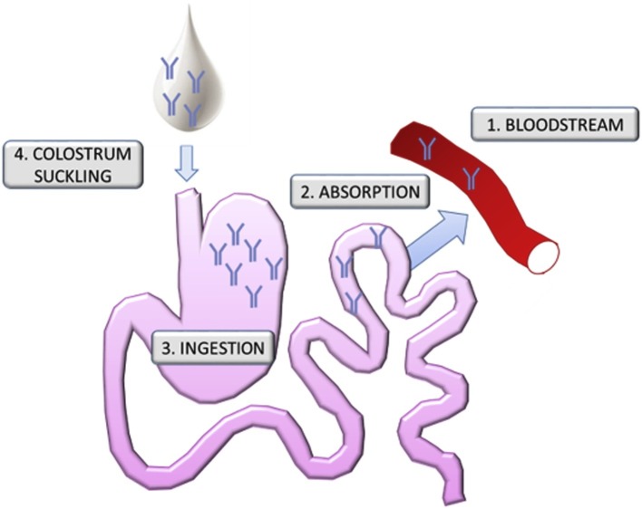 Fig. 4