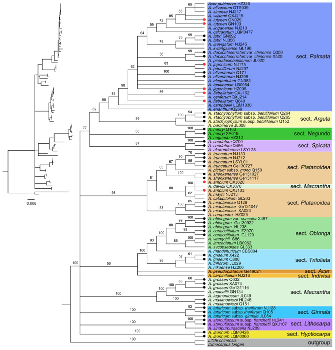 Fig. 3