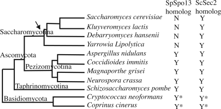 Figure 9.