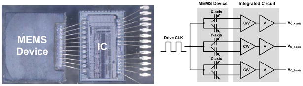 Fig. 8