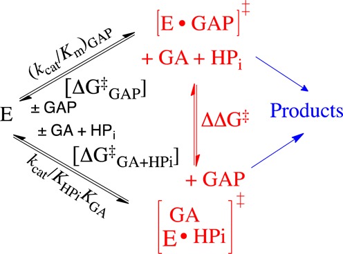 Scheme 5